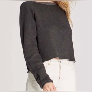 Wildfox Monte Crop Sweatshirt